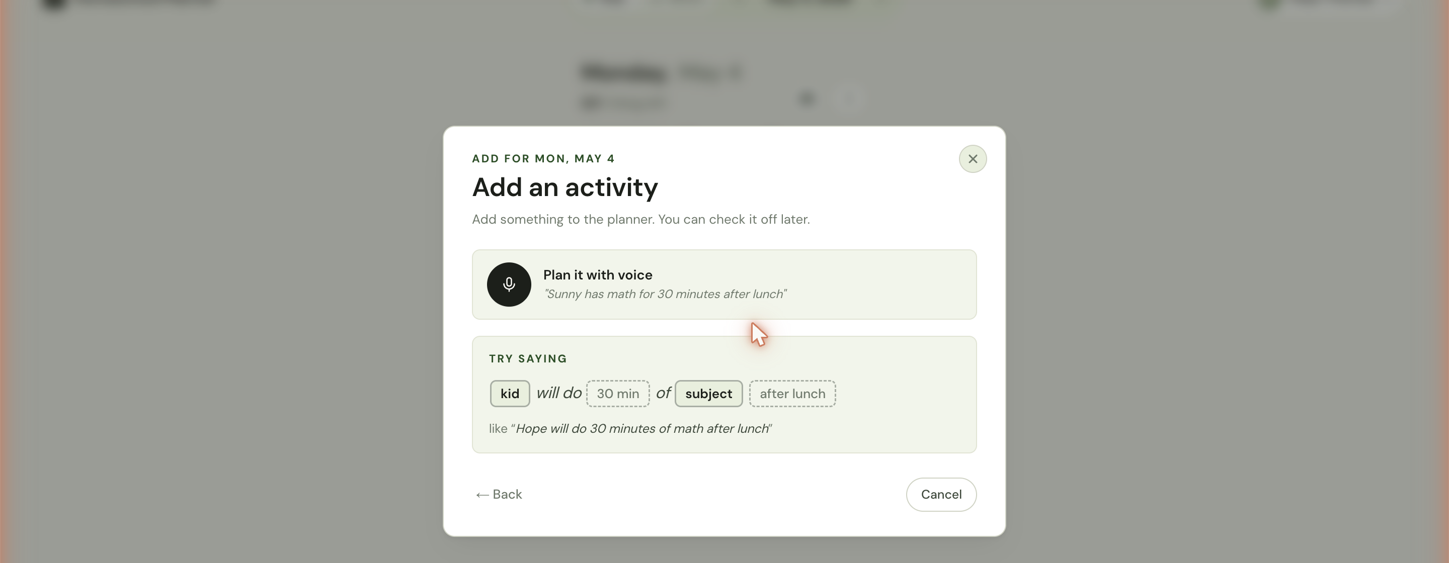 The Plan it with voice screen with a microphone icon, an example sentence, and a TRY SAYING template showing the recommended sentence shape.